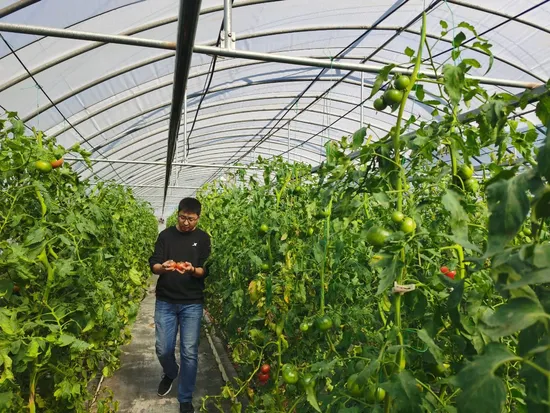 10000м2 Сельскохозяйственный/Коммерческий/Мульти