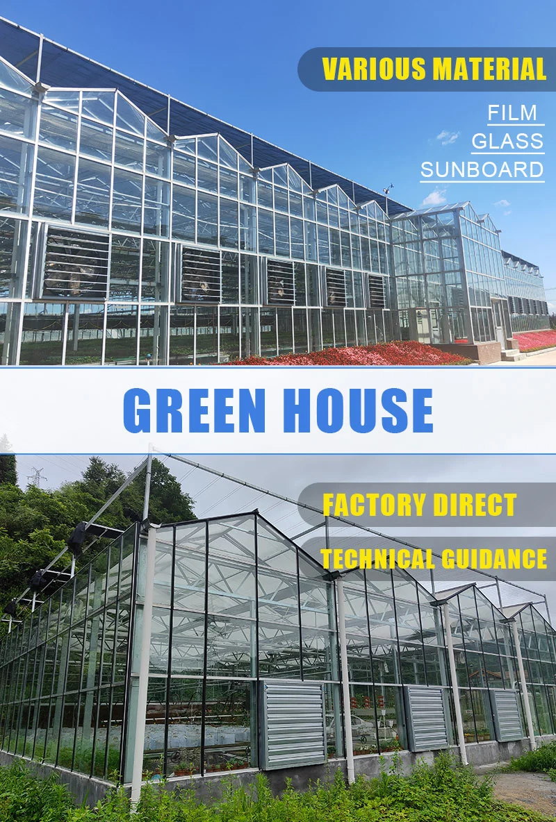 PC Sheet Glass Film Cover Material Commercial Vegetables Flower Seedlings Farming Vertical Formative Hydroponics System Greenhouse