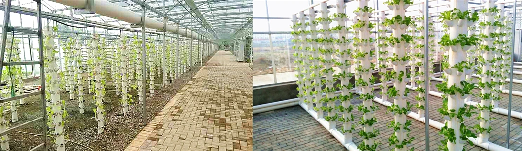 Vertical Farming Indoor Hydroponics Growing System for Lettuce/Vegetable/Crops Planting