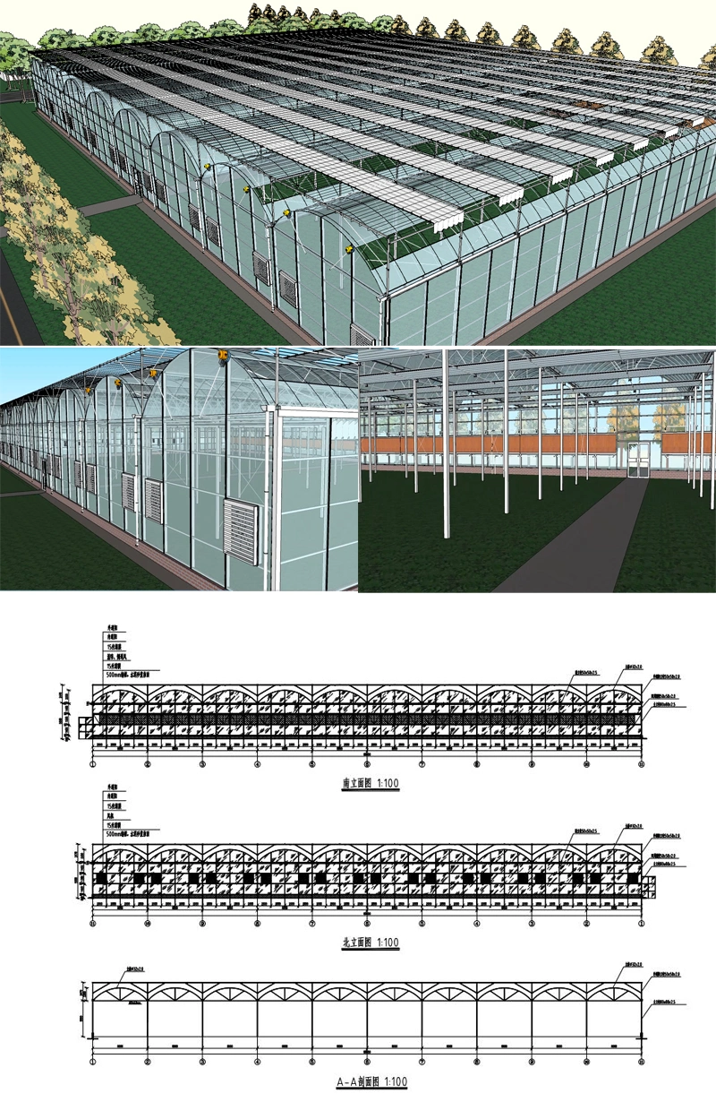 Factory Outlet Multi-Span Arch Tunnel Type Po/ PE Plastic Film Greenhouse with Hydroponics System for Lettuce/ Tomato/ Cucumber/ Pepper/ Strawberry