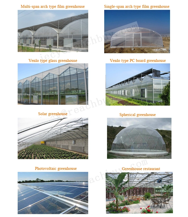 Film Tunnel Greenhouse Structure