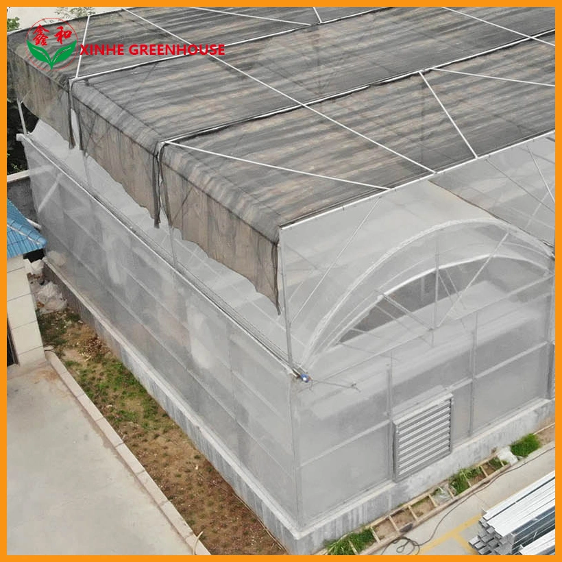 Film Greenhouse Inside and Outside Shading System for Agricultural