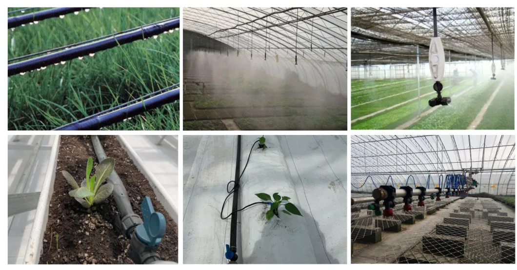 Film Greenhouse Inside and Outside Shading System for Agricultural