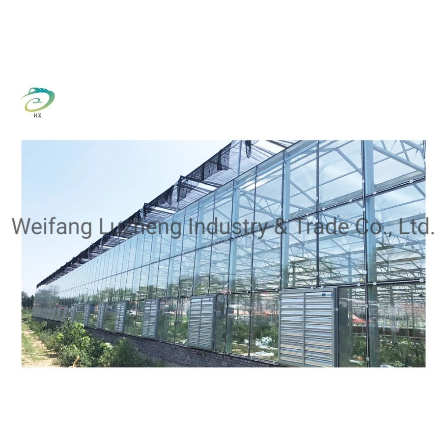 China Complete Polycarbonate PC Sheet Agricultural Greenhouse Turnkey Project with Quick Construction, Film Greenhouse