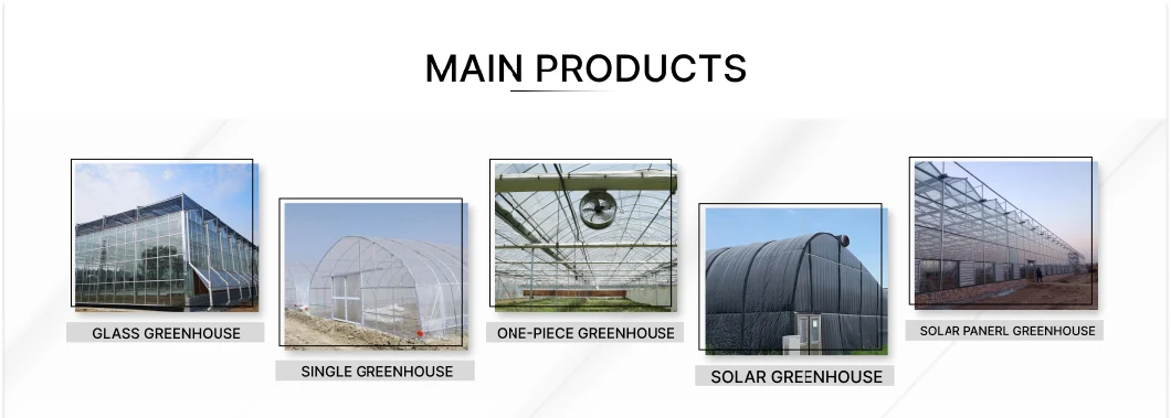 Greenhouse Cover Material for Hydroponics and Vertical Farming