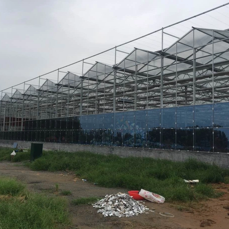 Xinhe Heating Solar Systems Used for Multi-Span Glass Greenhouse