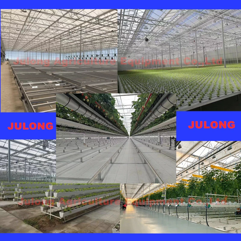 High Quality Steel Pipe Agricultural Green House Steel Structure with Glass Covering